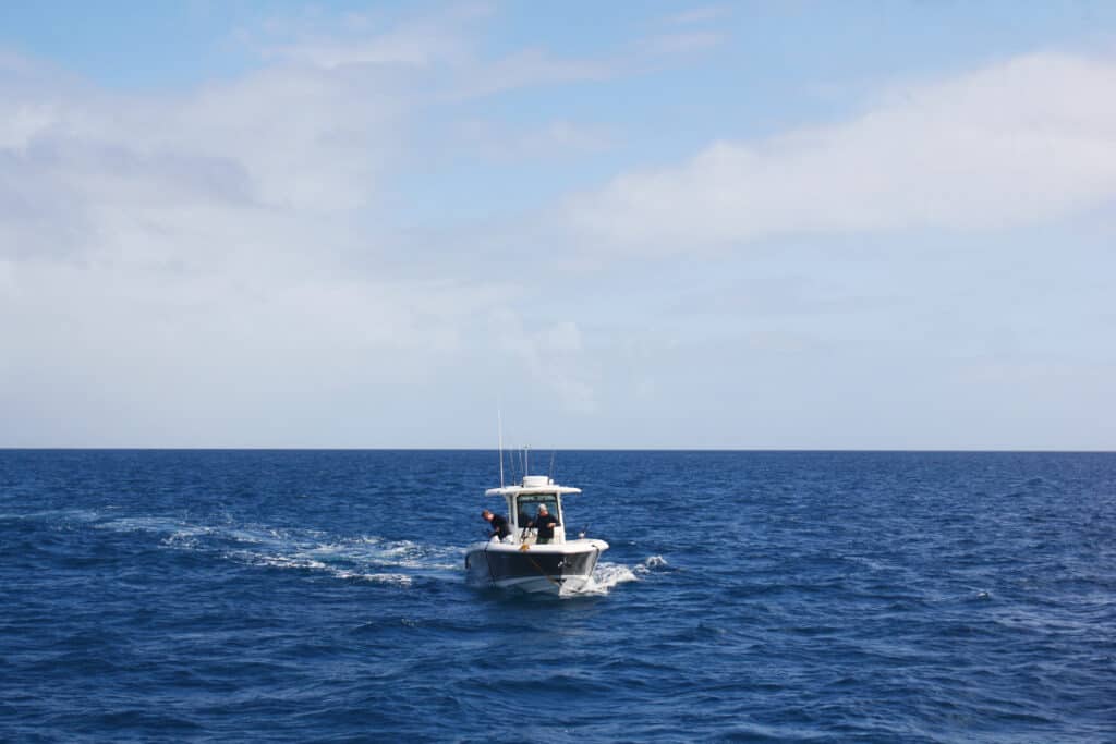 IMG_1171-1024x683